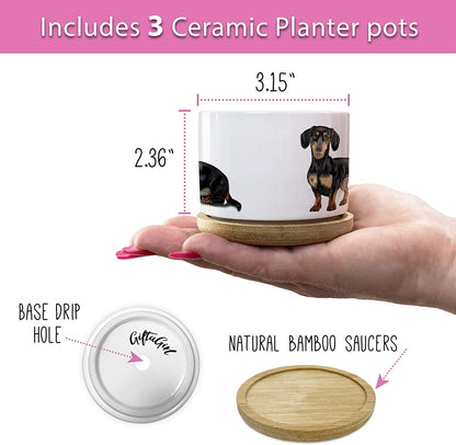 Dachshund-Themed Succulent Planters for Women - Ideal Birthday or Christmas Gifts, Elegantly Gift Boxed
