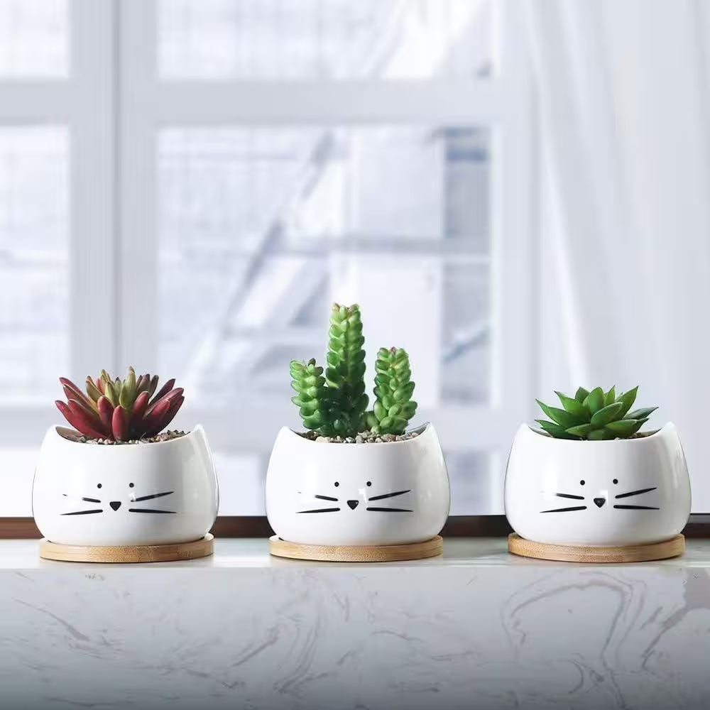 Set of 3 White Ceramic Cat Succulent Window Boxes for Indoor and Outdoor Use, 3.2" L x 3.2" W x 2.66" H