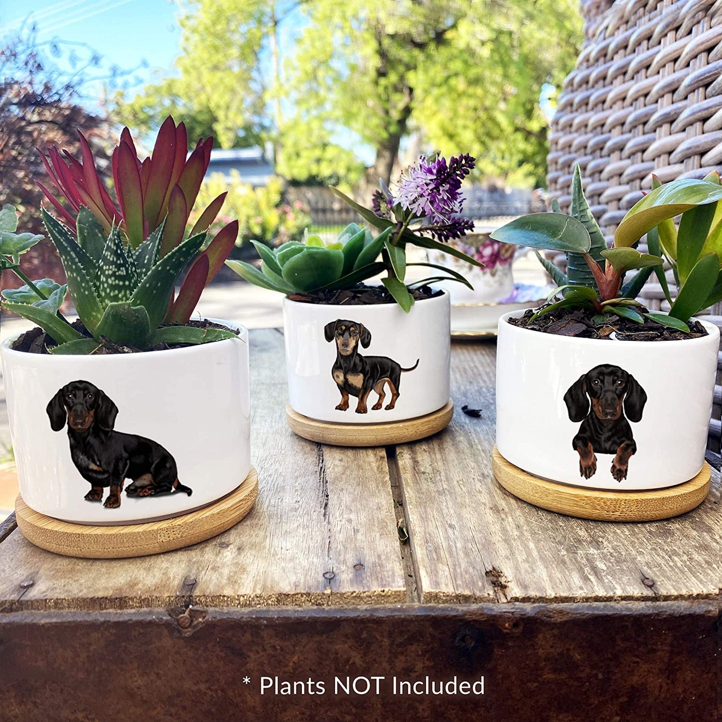 Dachshund-Themed Succulent Planters for Women - Ideal Birthday or Christmas Gifts, Elegantly Gift Boxed
