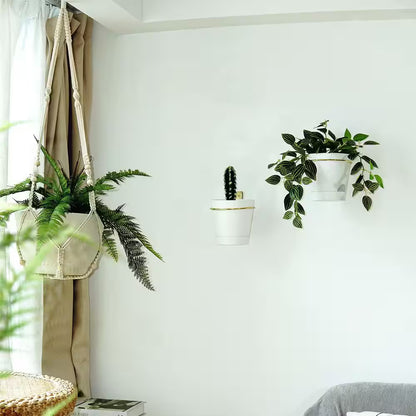 No Hole Adhesive Ceiling Hooks for Hanging Plants and Lights round Shape Indoor Strong Sticky Set of 10 Pack