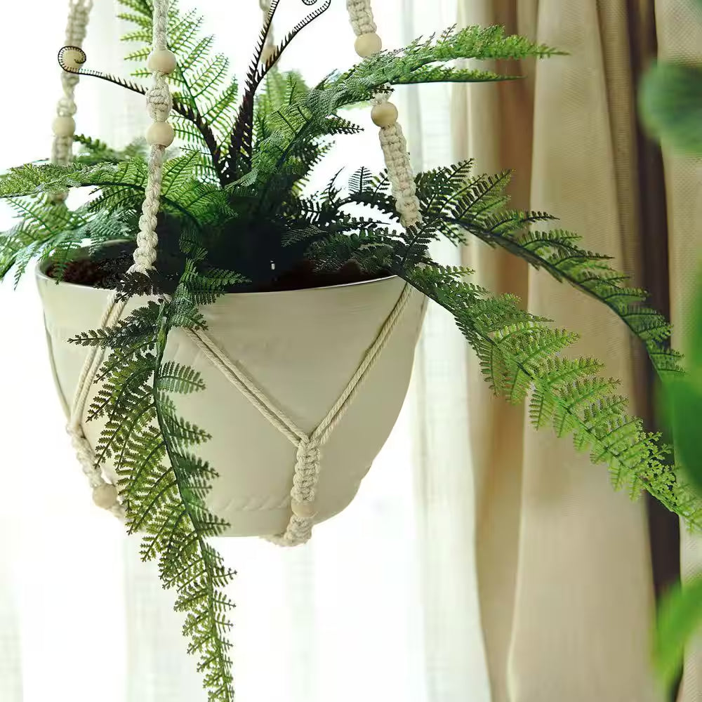 No Hole Adhesive Ceiling Hooks for Hanging Plants and Lights round Shape Indoor Strong Sticky Set of 10 Pack