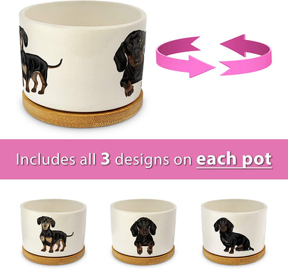 Dachshund-Themed Succulent Planters for Women - Ideal Birthday or Christmas Gifts, Elegantly Gift Boxed
