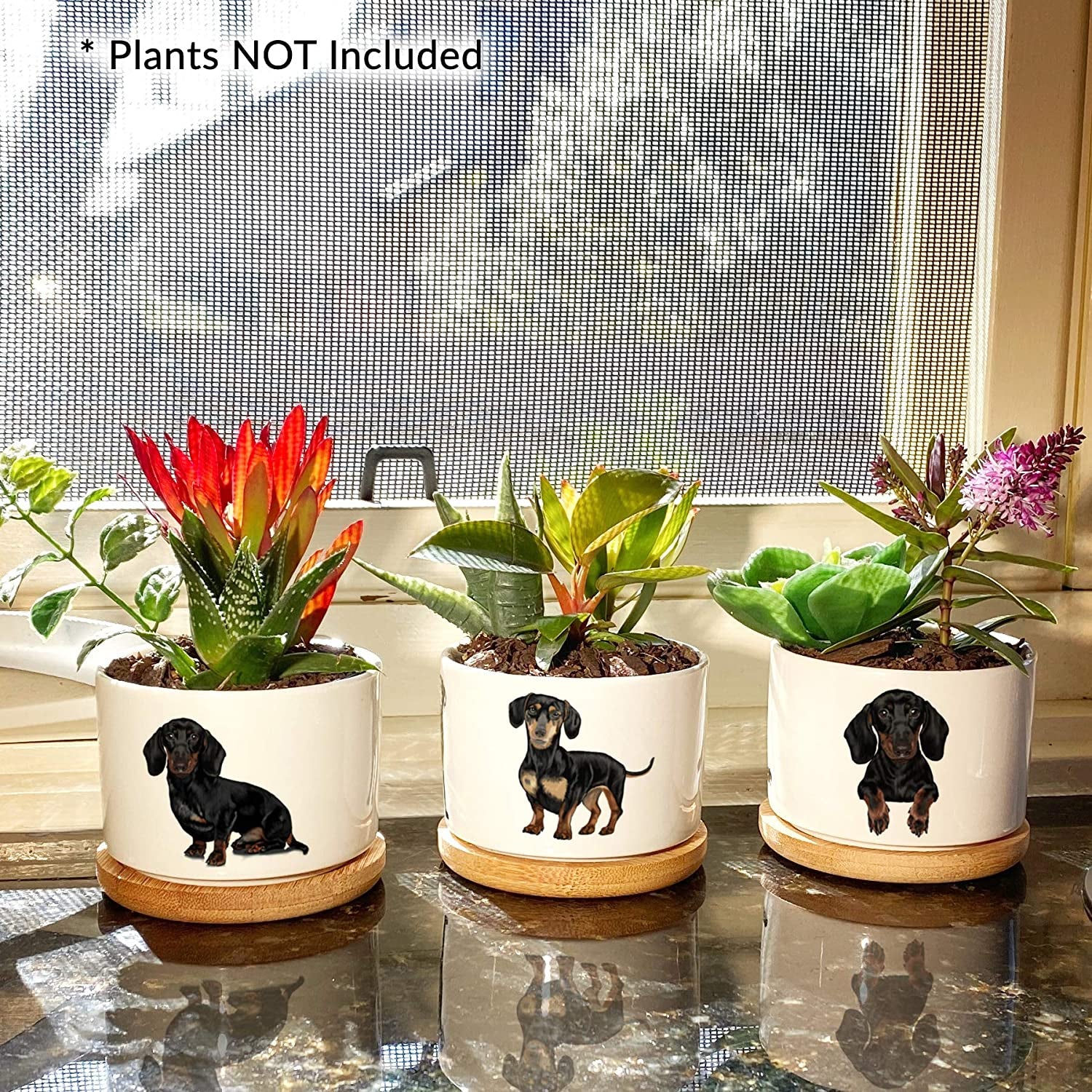 Dachshund-Themed Succulent Planters for Women - Ideal Birthday or Christmas Gifts, Elegantly Gift Boxed
